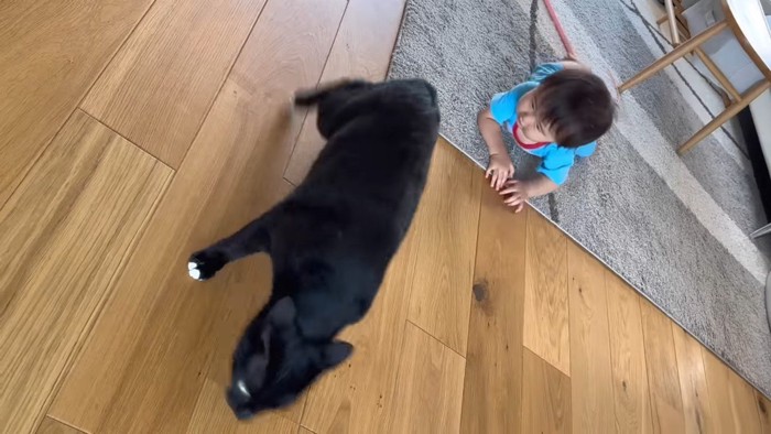 逃げるくまごろうくん