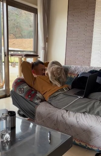寝たい猫