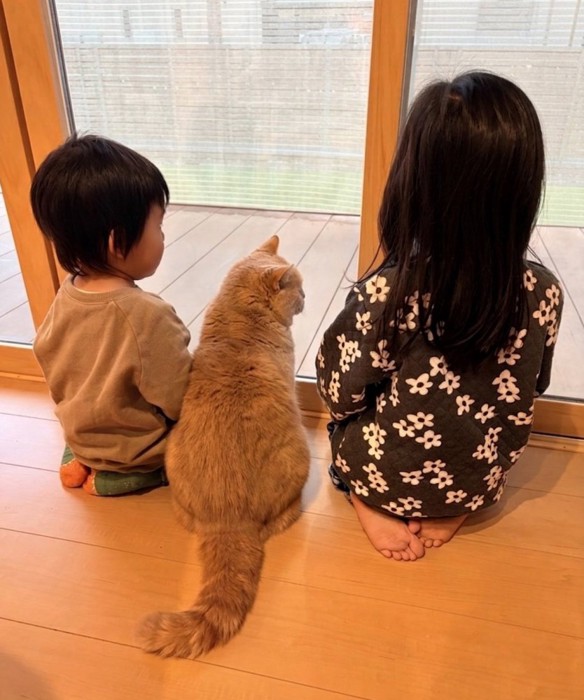 大きくなった娘さん