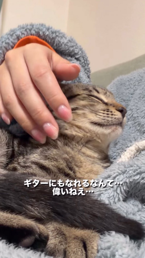 穏やかな顔で飼い主にもたれかかる猫