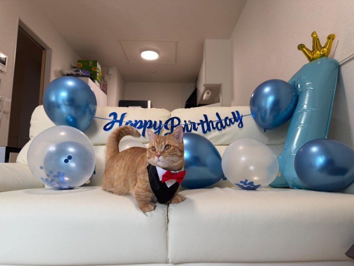 飾りつけといずくん