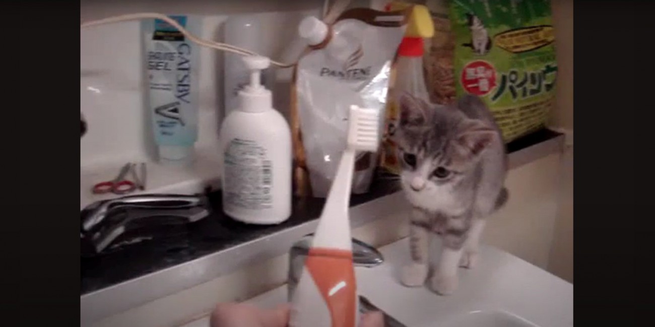 及び腰になるモアレちゃん