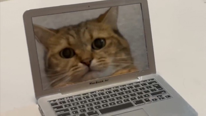 パソコン画面に映るみにらくんの顔アップ