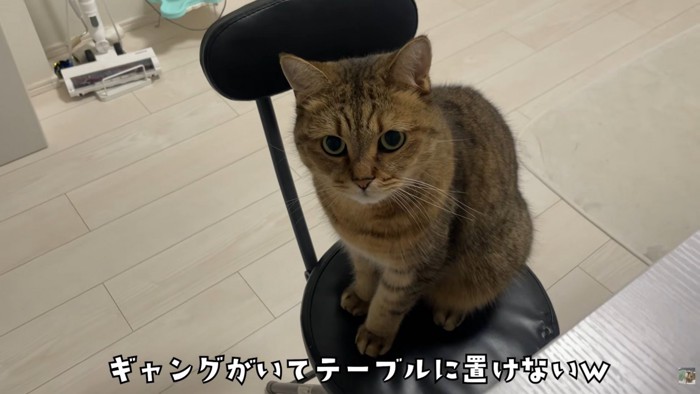 テロップ「ギャングがいて~」