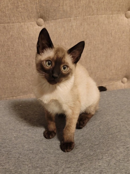 成長したモコロちゃん