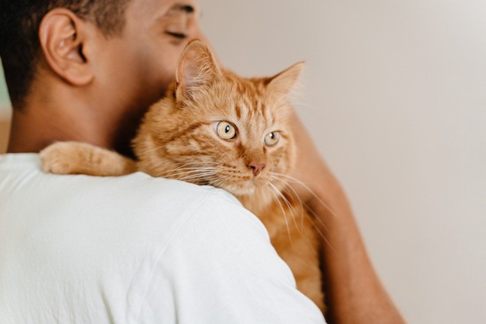 抱っこされる猫