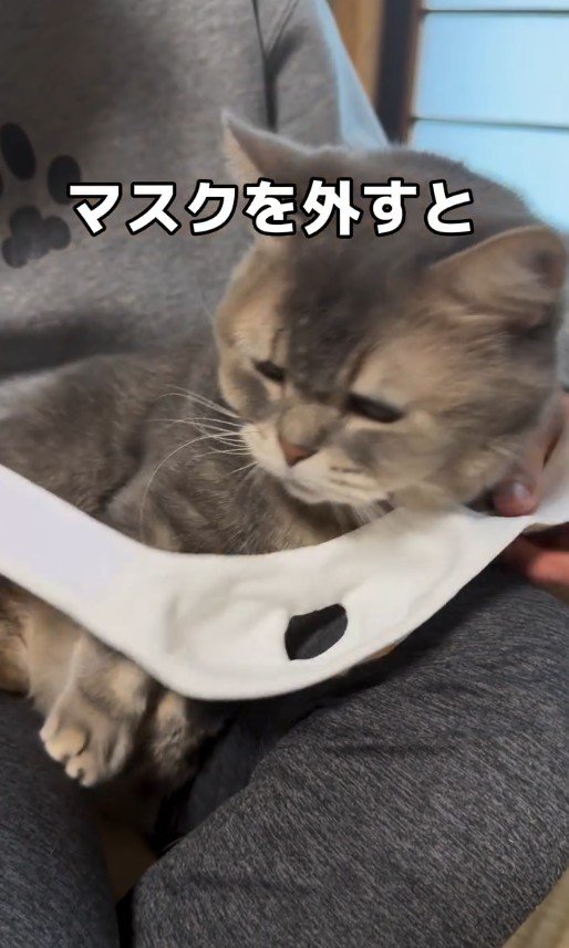 マスクを外したココスくん