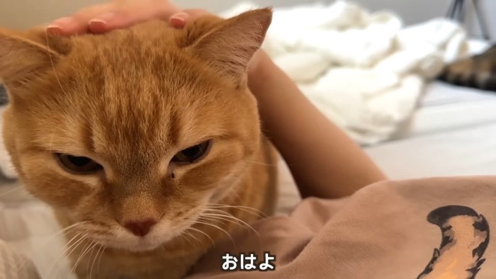 おはよ