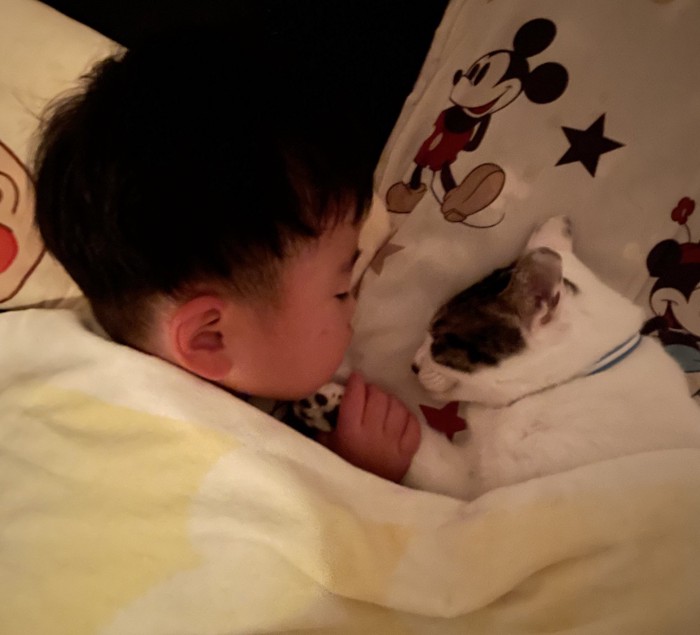 向かい合って寝る子どもと猫