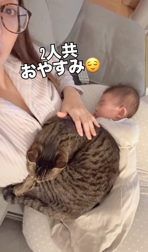赤ちゃんを乗せた飼い主の膝の上で丸くなる猫（横）