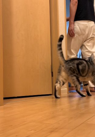 部屋へ向かうパパさんと、その後を追うジャックくん