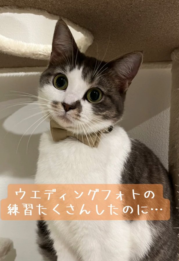 顔を傾けるノリスちゃん