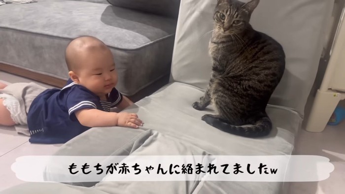 絡まれてました