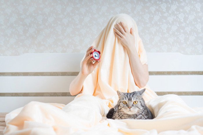 毛布をかぶっている人と猫