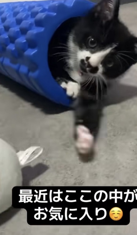 「最近はここの中が...」のテロップ写真