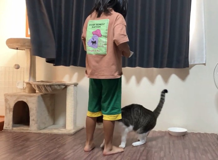 人の足元にいる猫