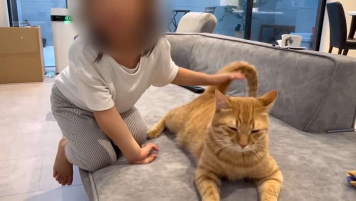 娘さんからのケツドラム