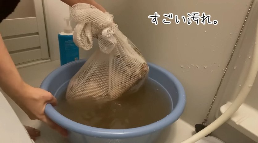 お湯に入った猫