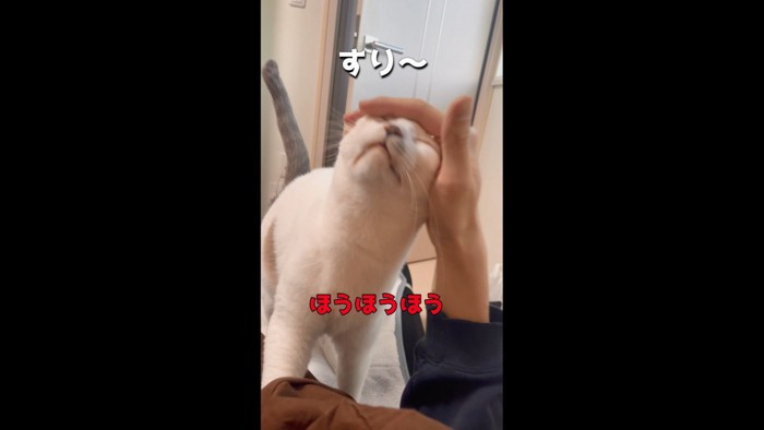 息子にスリスリ