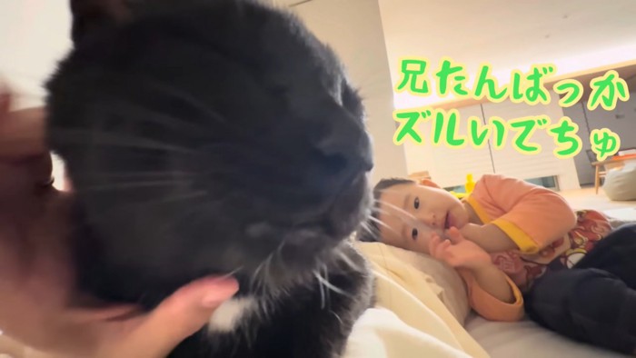 テロップ「兄たんばっか~」