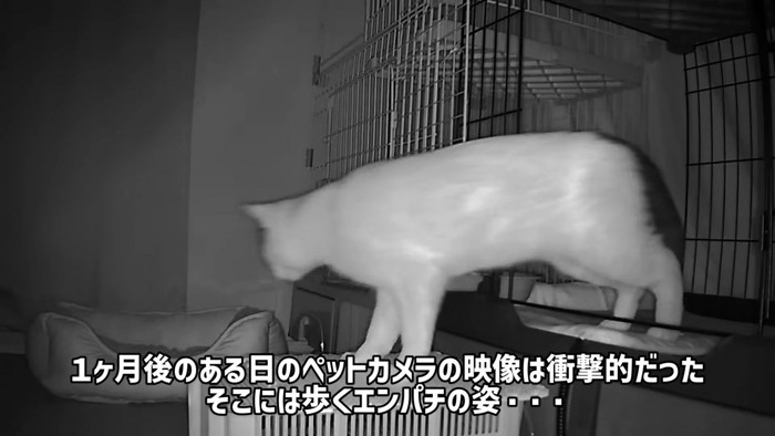 テロップ「1ヵ月後のある日~」