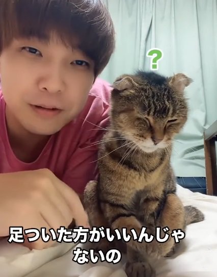 猫の前足を掴もうとする人（足ついた方がいいんじゃないの）