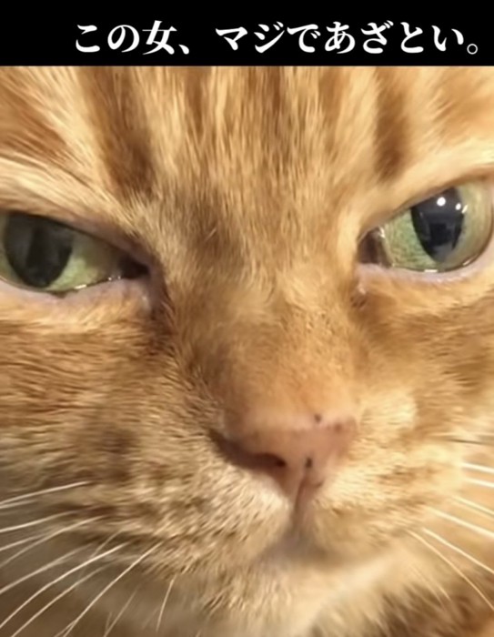 「この女、マジであざとい」のテロップ写真