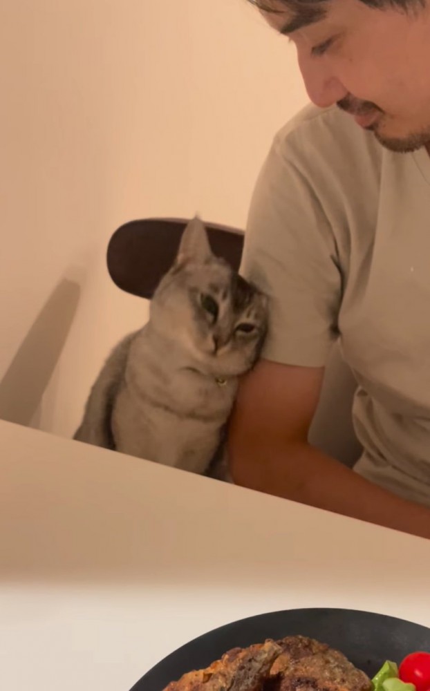 顔を擦り付けて甘える猫