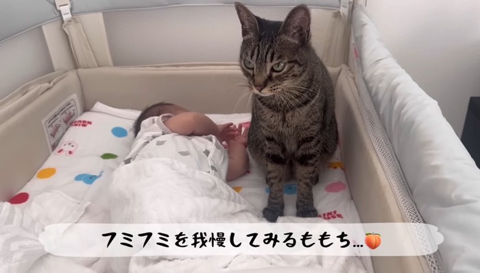 フミフミを我慢