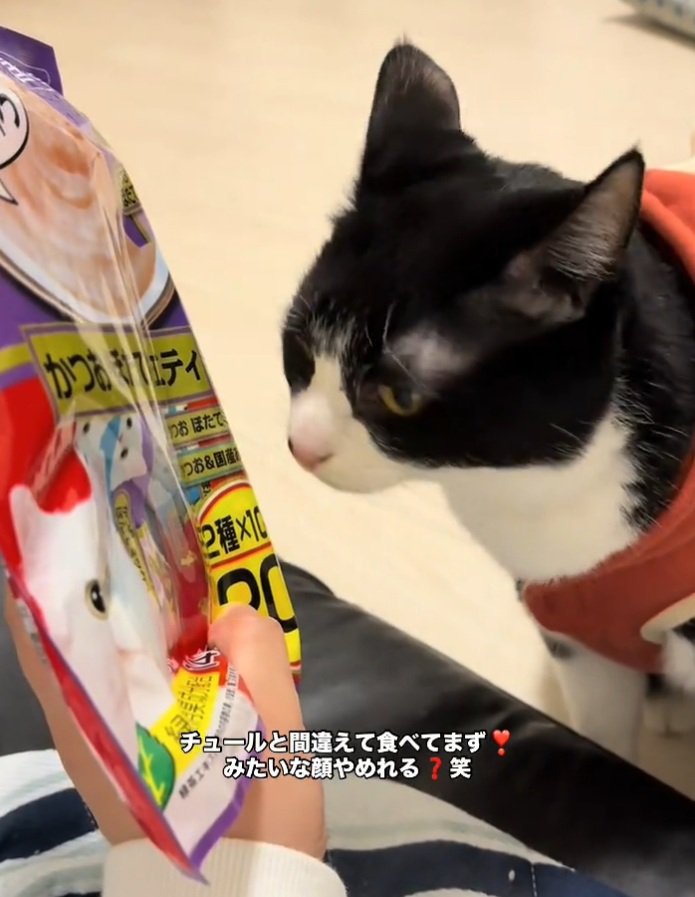 虚無顔のオレオちゃん