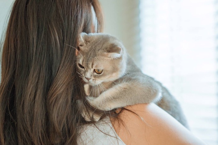長髪の女性とスコティッシュフォールド