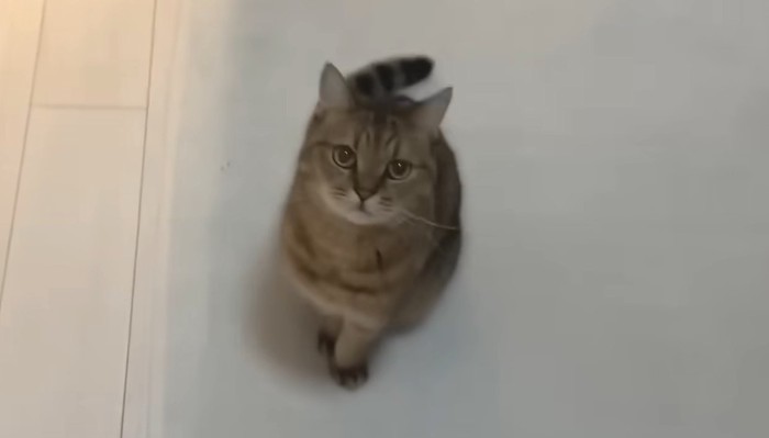 見上げる視線