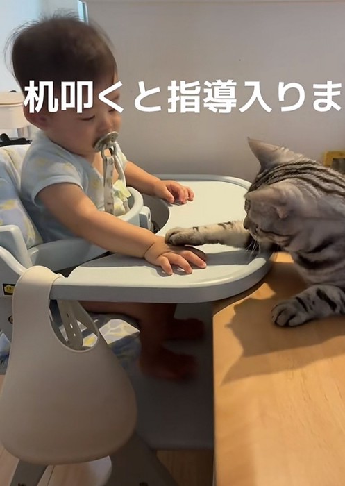 赤ちゃんと猫の写真8