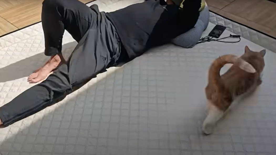 昼寝中の男性と猫