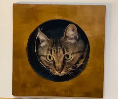 穴から顔を出すキジトラ猫