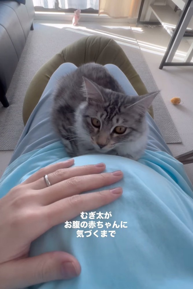 お腹をポンポンと叩く