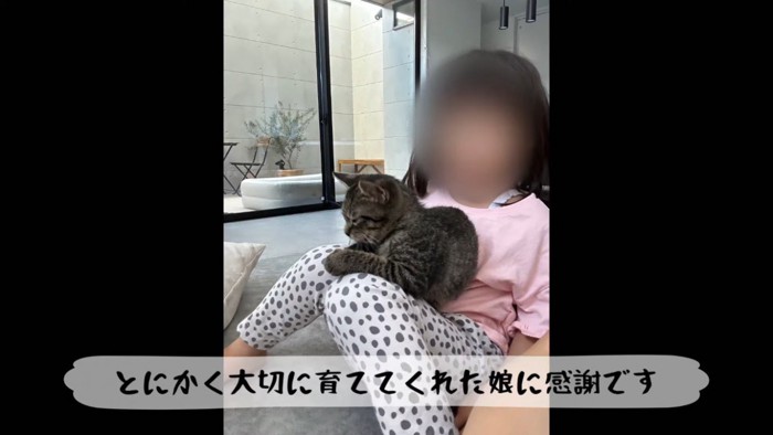 女の子の足の上でくつろぐ子猫