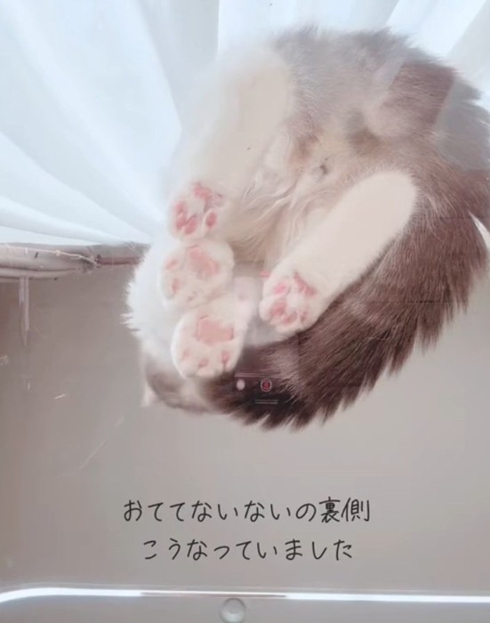 「おててないない」を撮られるなぎくん