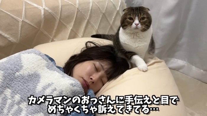 見つめるぽこ太郎くん