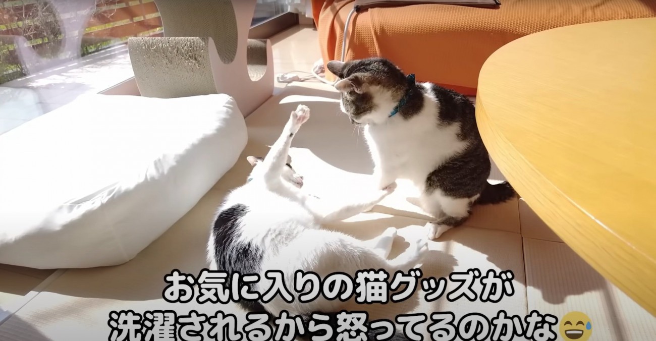 ホルンくんに八つ当たりするささみくん