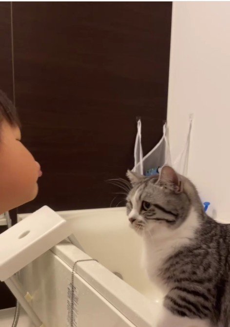 猫に顔を近づける子ども