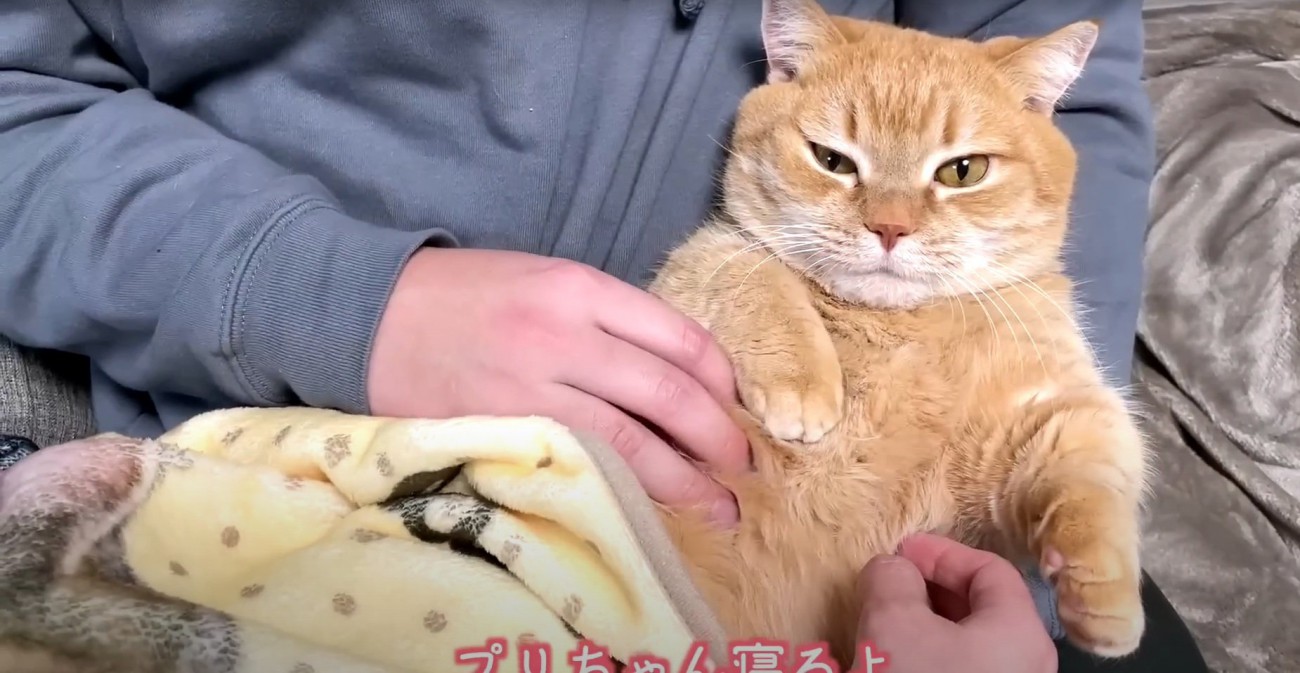 ママさんを見るプリンちゃん