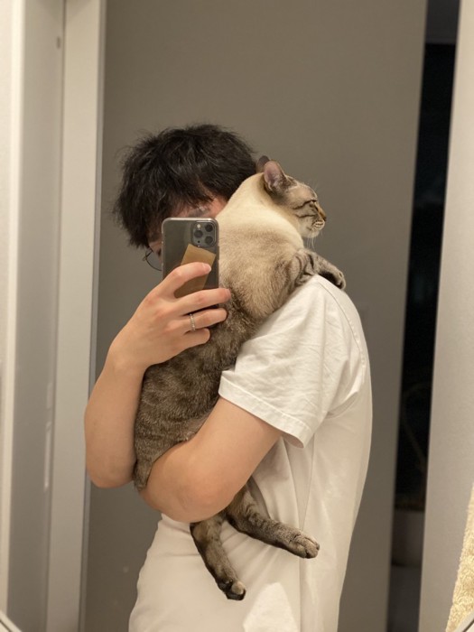 抱っこされる猫の横顔