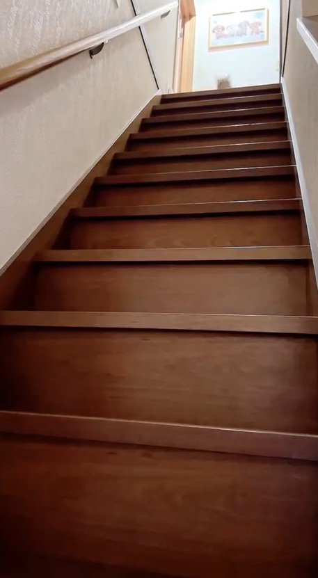 階段の上に現れた猫のシルエット