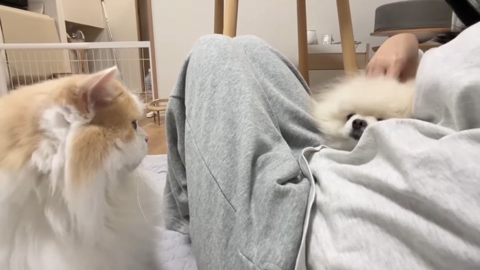 集合
