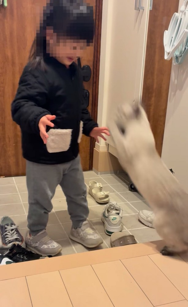 抱きつきに行く猫