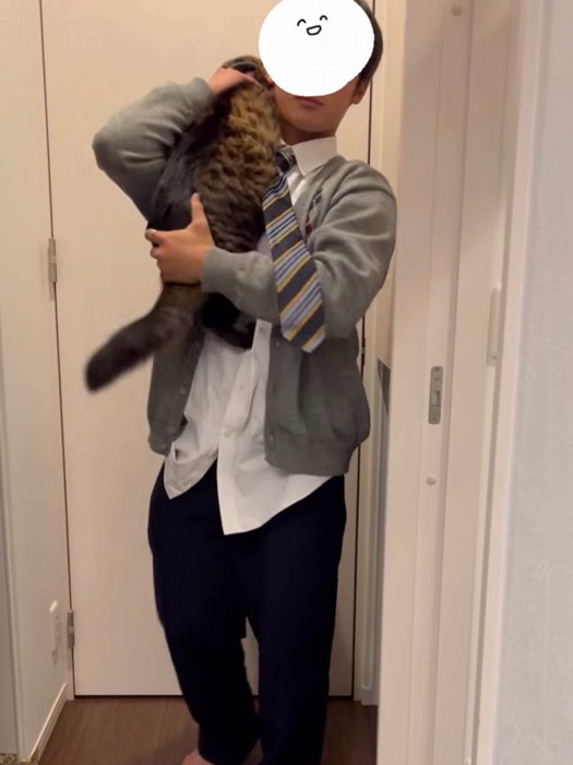 抱っこされる猫