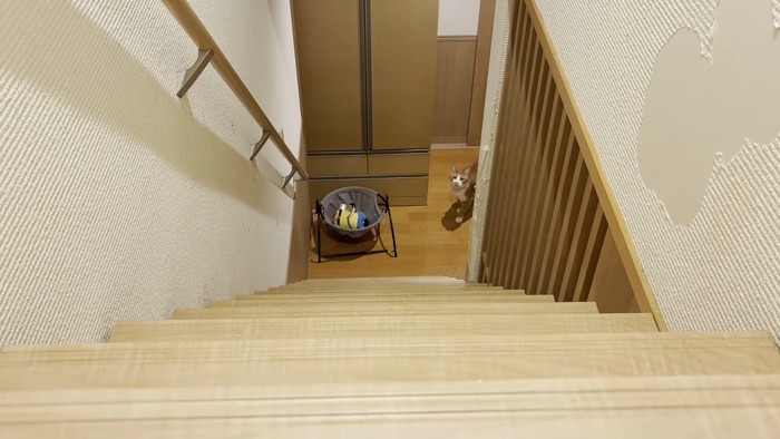 階段の下