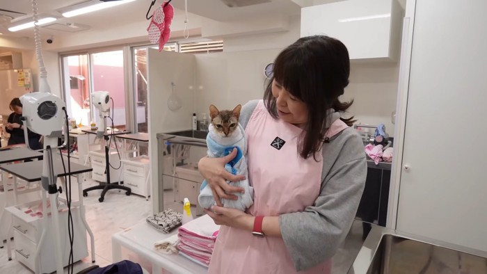 タオルで包まれる猫