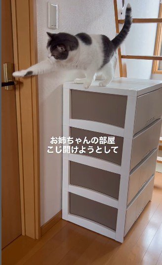 慎重にレバーへ手を伸ばすうるくん